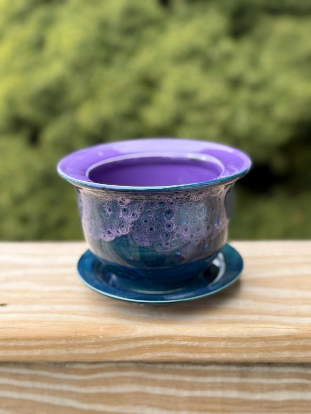 Peacock Purple Planter with Plate: 4 Inch Plant Pot